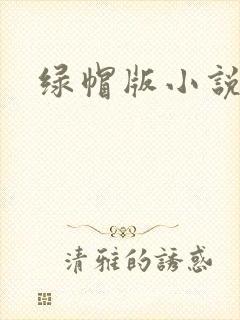 绿帽版小说