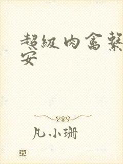 超级肉禽系统保安