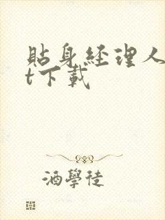 贴身经理人txt下载