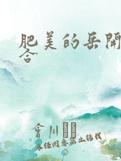 肥美的岳开始配合