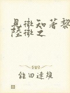 见微知著黎见卿陆微之