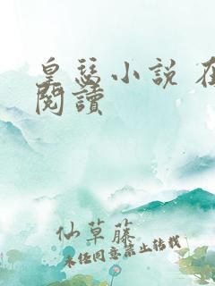 皇瑟小说 在线阅读