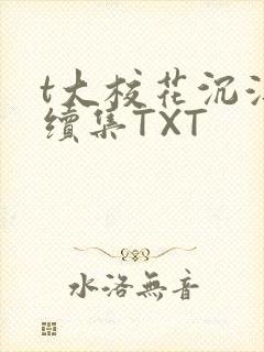 t大校花沉浮录续集TXT
