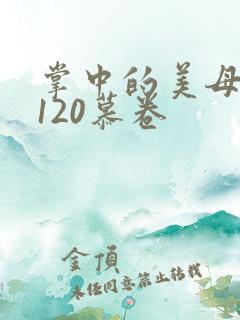 掌中的美母版主120慕卷