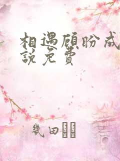 相遇顾盼成欢小说免费