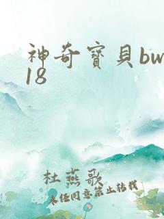 神奇宝贝bw118