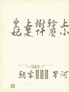 皇上树干上太子妃是什么小说