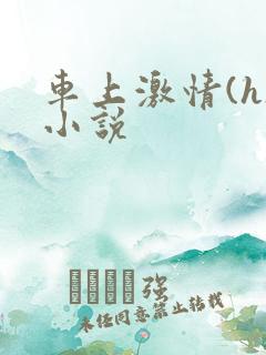 车上激情(h)小说