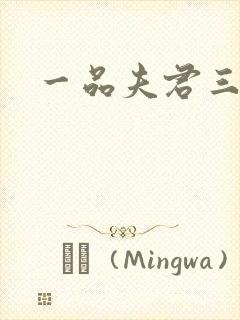 一品夫君三流妻