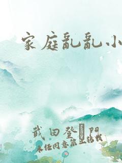 家庭乱乱小说