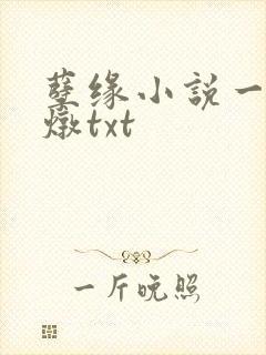 孽缘小说一家乱炖txt