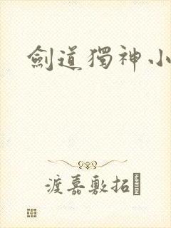 剑道独神小说