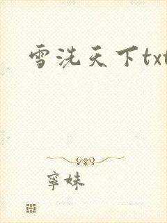 雪洗天下txt