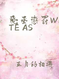 飞丞惩罚WRITE AS