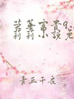 荣华富贵9小王莉莉小说免费阅读