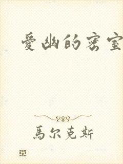 爱幽的密室小说