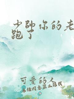 少帅你的老婆又跑了