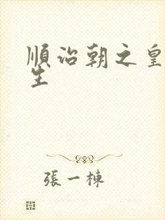 顺治朝之皇后重生