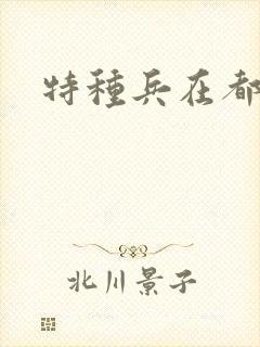 特种兵在都市