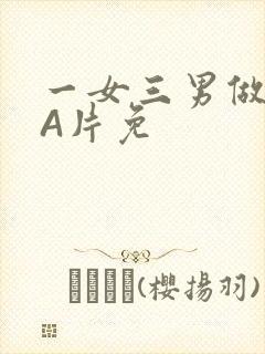 一女三男做2爱A片免