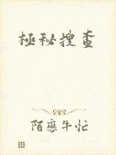 极秘搜查