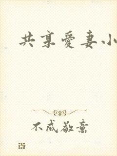 共享爱妻小说