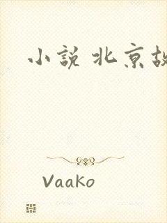 小说 北京故事