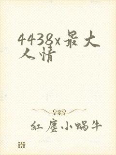 4438x最大人情