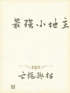 最强小地主
