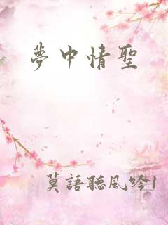 梦中情圣