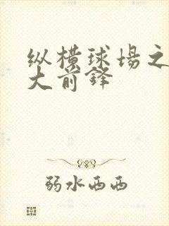 纵横球场之暴力大前锋