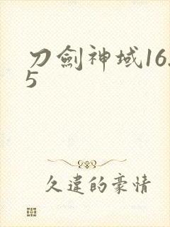 刀剑神域16.5
