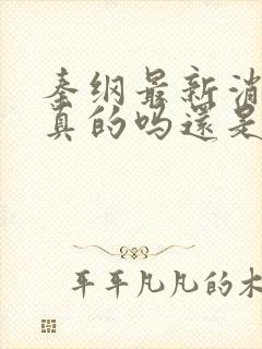 秦纲最新消息是真的吗还是假的