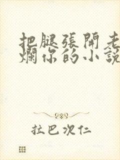 把腿张开老子臊烂你的小说