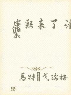 康熙来了 潘迎紫