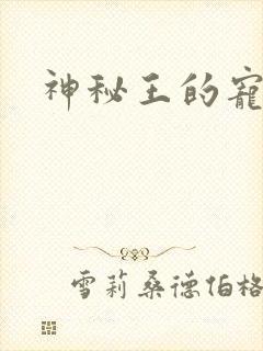 神秘王的宠姬
