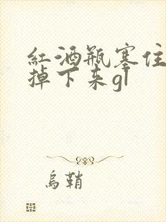 红酒瓶塞住不准掉下来gl