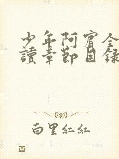 少年阿宾全文阅读章节目录