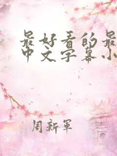 最好看的最新的中文字幕小说