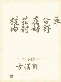 校花在公车上被内射好舒