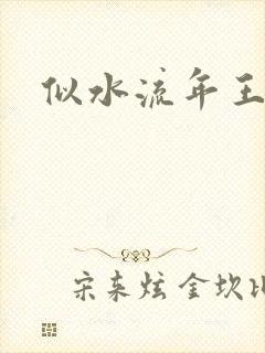 似水流年王小波