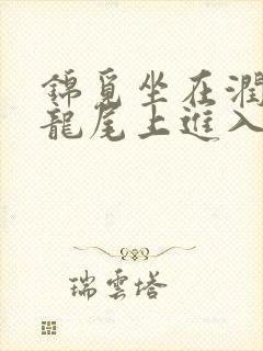 锦觅坐在润玉的龙尾上进入