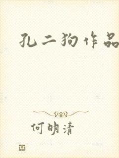 孔二狗作品