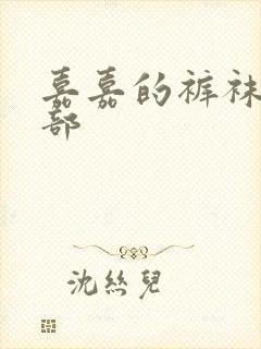 嘉嘉的裤袜第二部