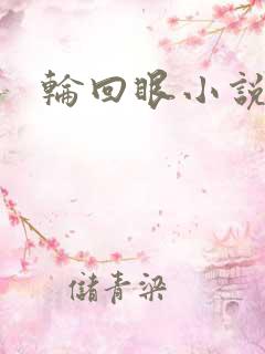 轮回眼小说