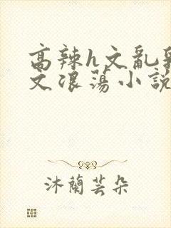 高辣h文乱乳h文浪荡小说苏瑾瑶