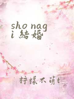 sho nagi 结婚