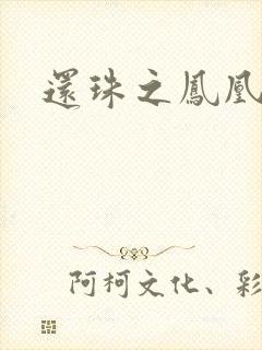 还珠之凤凰重生