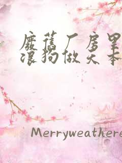 废旧厂房里和流浪狗做天本