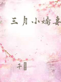 三月小娇妻